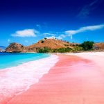 Destinasi Wisata Bima dengan Pemandangan Luar Biasa Pantai Pink