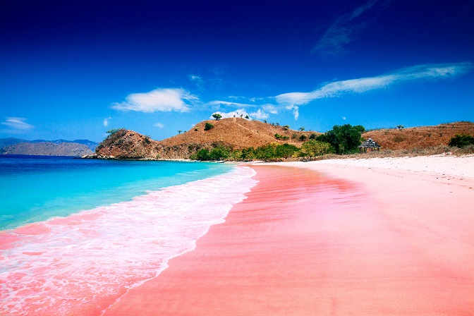 Destinasi Wisata Bima dengan Pemandangan Luar Biasa Pantai Pink